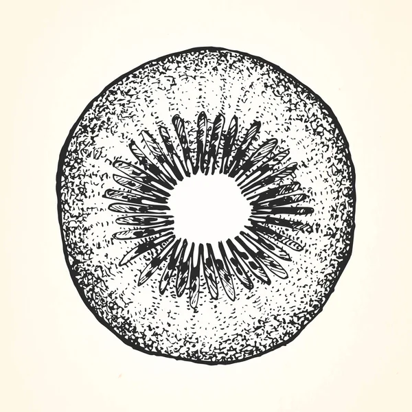 Illustration dessinée à la main des fruits — Image vectorielle