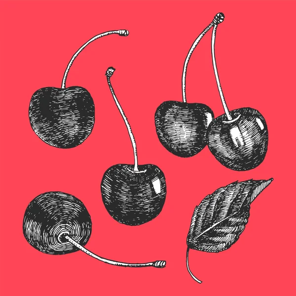 Handritade illustration av frukter — Stock vektor
