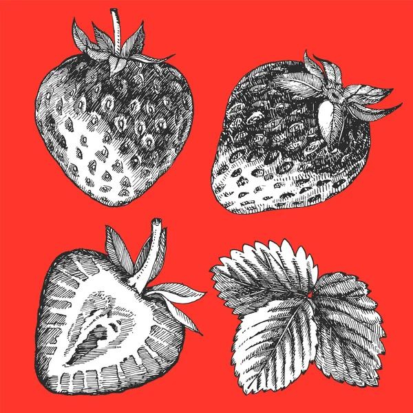 Çizilmiş resmi meyve — Stok Vektör