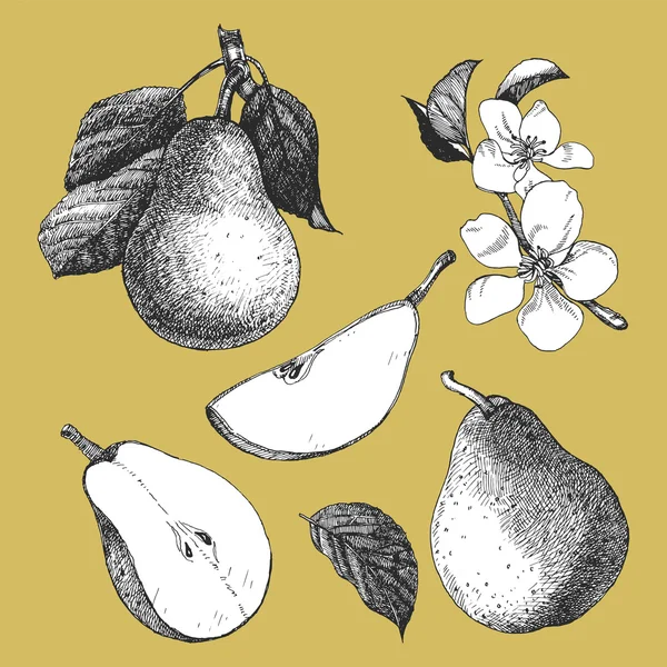 Ilustrasi gambar tangan dari buah-buahan - Stok Vektor