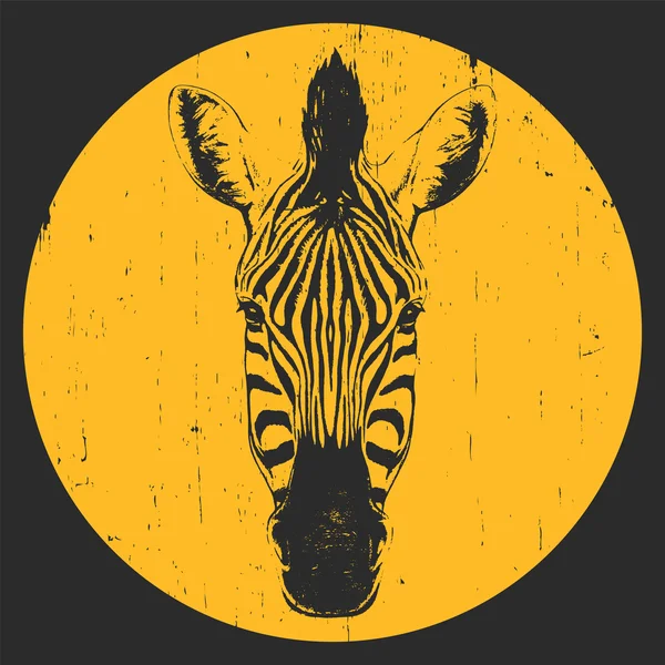 Tekening van Zebra afdrukken — Stockvector
