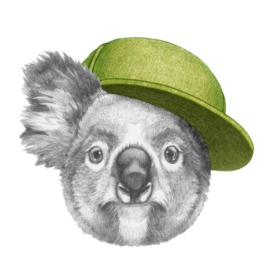 Koala 'nın şapkalı portresi. El çizimi illüstrasyon.