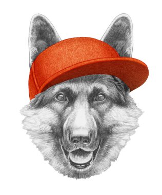 Şapkalı Alman çoban köpeği portresi. El çizimi illüstrasyon