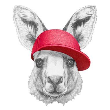 Şapkalı Kanguru portresi. El çizimi illüstrasyon.