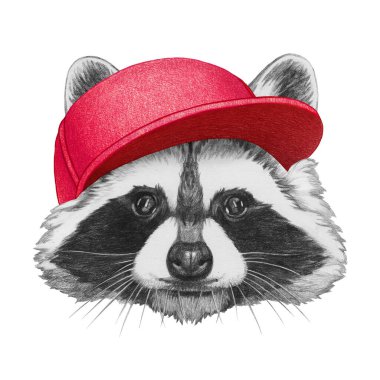 Şapkalı Rakun 'un portresi. El çizimi illüstrasyon