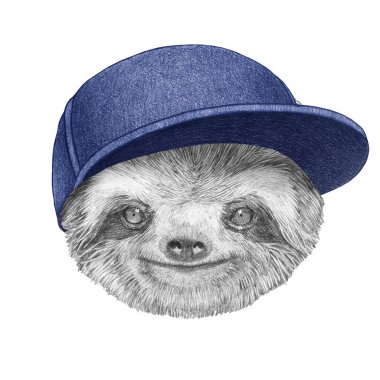 Şapkalı Sloth 'un portresi. El çizimi illüstrasyon.