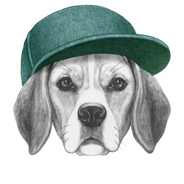 Şapkalı bir Beagle portresi. El çizimi illüstrasyon.