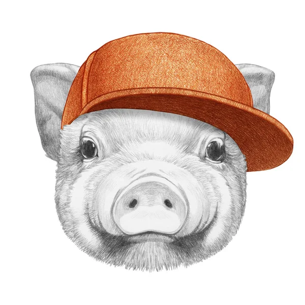 Retrato Piggy Con Gorra Ilustración Dibujada Mano — Foto de Stock