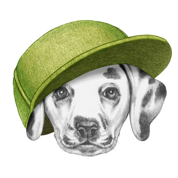 Portrait Dalmatien Avec Une Casquette Illustration Dessinée Main — Photo