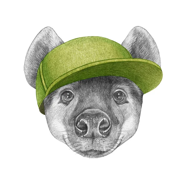 Portrait Hyena Cap Hand Drawn Illustration — Stock Photo, Image