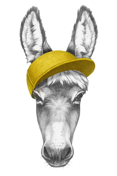 Porträt Eines Esels Mit Mütze Handgezeichnete Illustration — Stockfoto