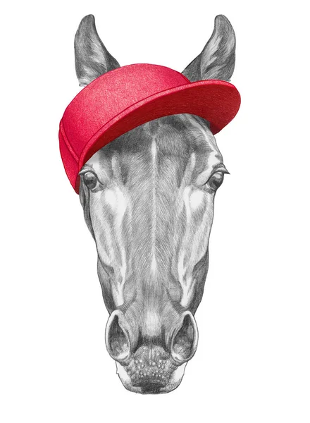 Ritratto Cavallo Con Cappello Illustrazione Disegnata Mano — Foto Stock