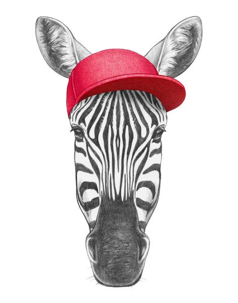 Zebra 그림에는 모자가 손으로 — 스톡 사진