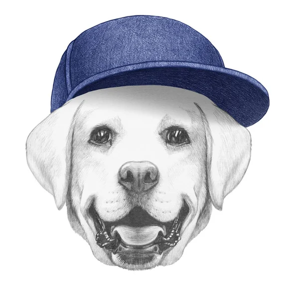Portret Van Labrador Met Een Pet Handgetekende Illustratie — Stockfoto