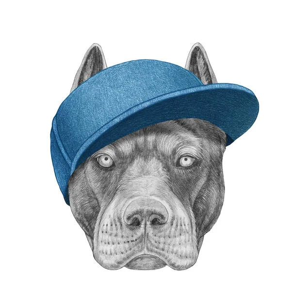 Retrato Pitbull Con Gorra Ilustración Dibujada Mano — Foto de Stock