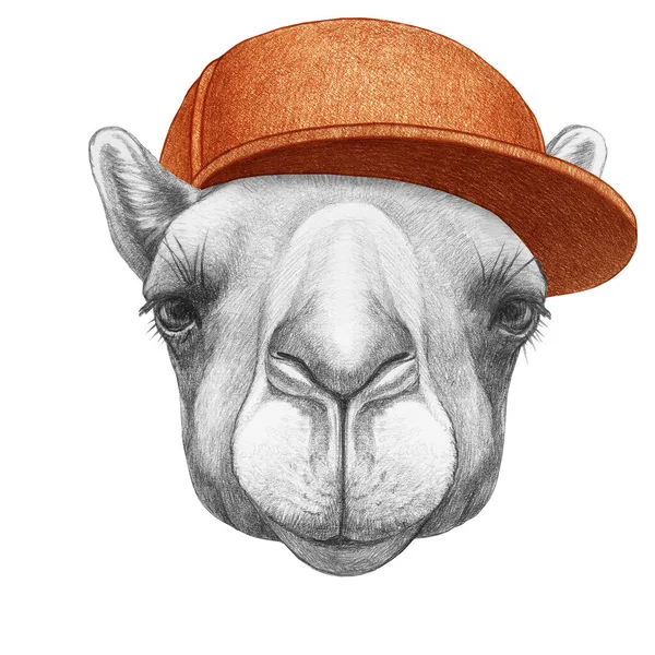 Retrato Camelo Com Boné Ilustração Desenhada Mão — Fotografia de Stock