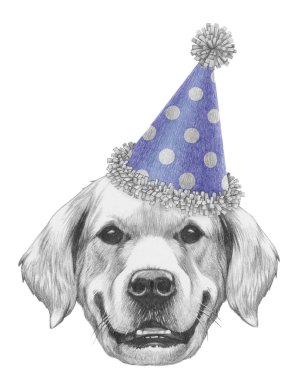 Şen şapkalı Golden Retriever portresi. El çizimi illüstrasyon
