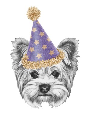 Yorkshire Terrier Dog 'un şenlikli şapkalı portresi. El çizimi illüstrasyon
