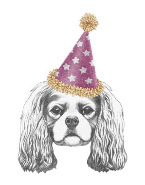 Şövalye Kral Charles Spaniel 'in festival şapkalı portresi. El çizimi illüstrasyon