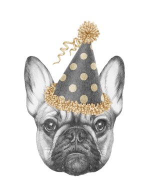 Fransız Bulldog 'un festival şapkalı portresi. El çizimi illüstrasyon