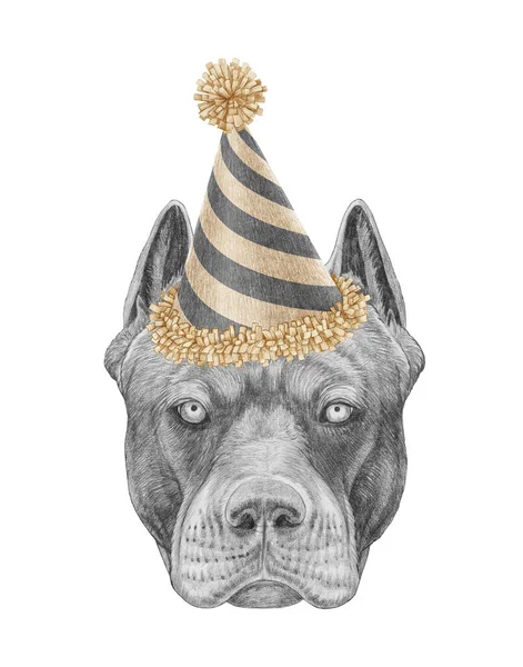 Portret Van Pit Bull Met Een Feestelijke Hoed Handgetekende Illustratie — Stockfoto