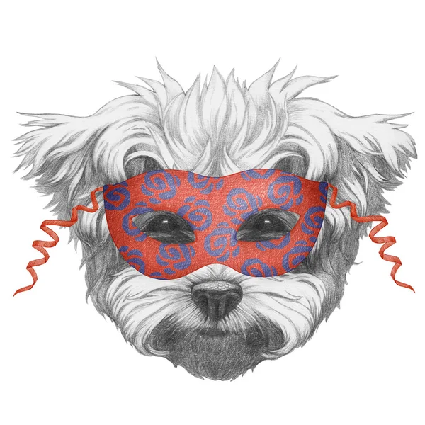 Retrato Perro Faldero Una Máscara Mascarada Sobre Fondo Blanco Ilustración — Foto de Stock