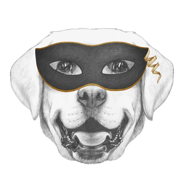 Ritratto Del Cane Maschera Sfondo Bianco Illustrazione Disegnata Mano — Foto Stock