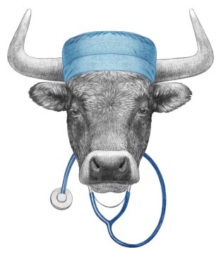 Cerrahi şapkalı Bull 'un portresi. Beyaz arka planda steteskop var. El çizimi illüstrasyon