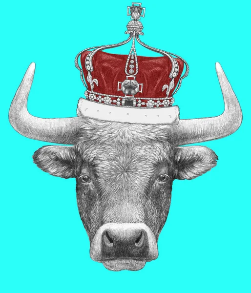 Portrait Bull Monarch Crown Turquoise Background Hand Drawn Illustration — Stock Photo, Image
