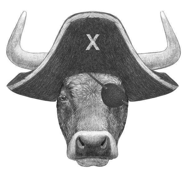 头戴海盗帽的公牛的画像 白色背景上有眼罩 手绘插图 — 图库照片