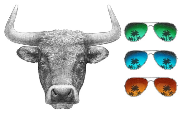 Portret Van Bull Met Een Set Kleurzonnebrillen Witte Achtergrond Handgetekende — Stockfoto