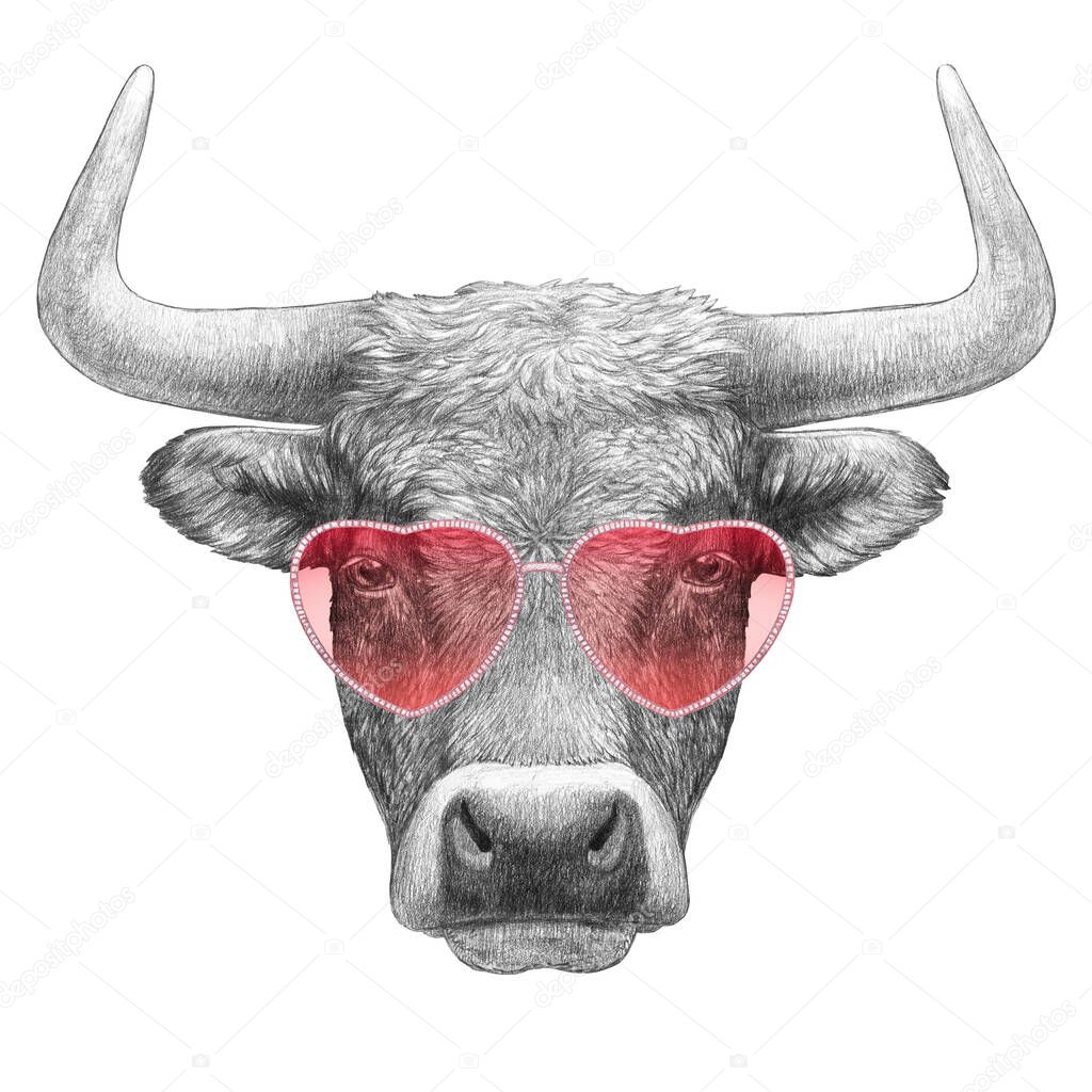 Portrait of Bull in heart shape sunglasses on the white background. Hand-drawn illustration