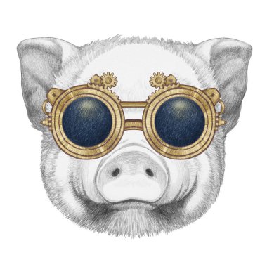 Beyaz arka planda domuz klasik güneş gözlüğü portresi. El çizimi illüstrasyon
