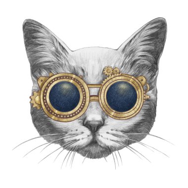 Beyaz arka planda kedi klasik güneş gözlüğü portresi. El çizimi illüstrasyon