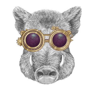 Beyaz arka planda klasik domuz gözlüğü portresi. El çizimi illüstrasyon