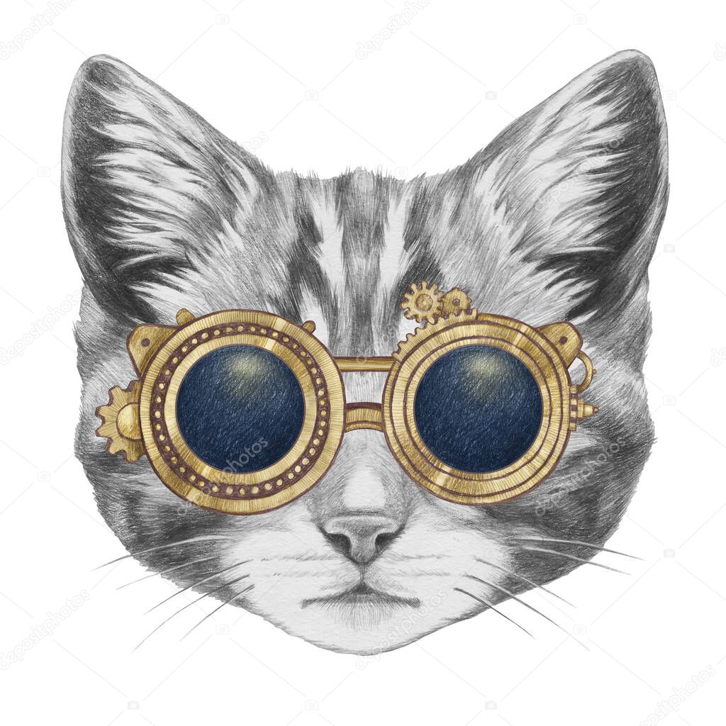 Portrait of cat vintage sunglasses on the white background. Hand-drawn illustration