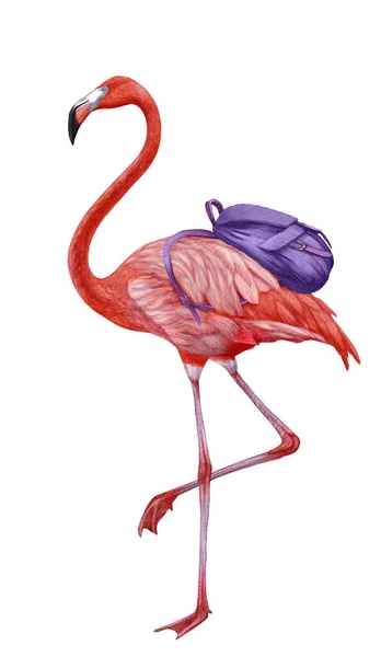 Ilustración Dibujada Mano Del Flamenco Con Una Mochila Pájaro Rosa — Foto de Stock