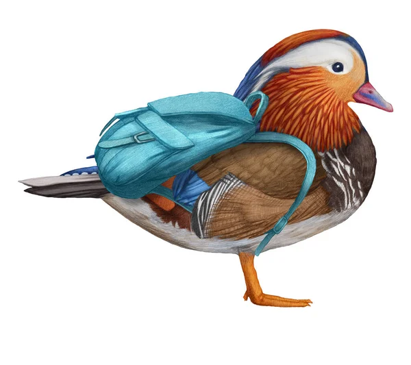 Χειροποίητη Απεικόνιση Του Mandarin Duck Σακίδιο Πολύχρωμο Πτηνό — Φωτογραφία Αρχείου