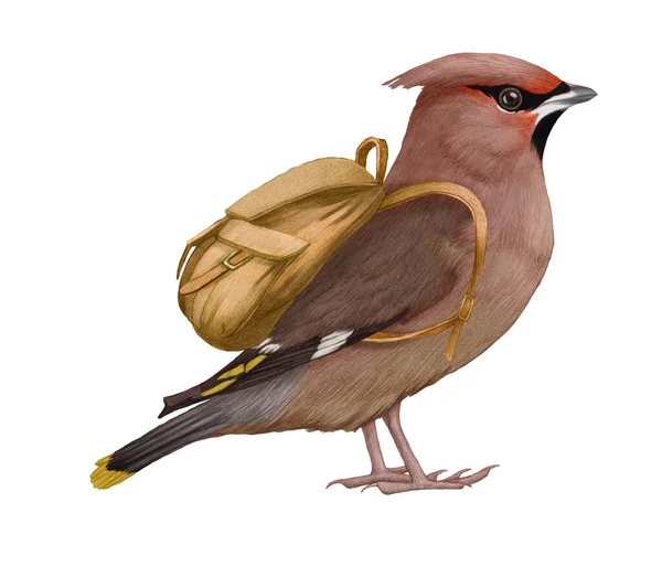 Hand Drawn Illustration Waxwing Backpack Pinkish Brown Bird — Stock Photo, Image