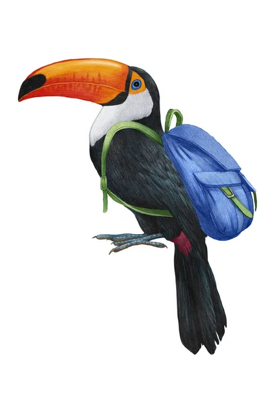 Ręcznie Rysowana Ilustracja Tukana Plecakiem Ptak Tropikalny — Zdjęcie stockowe