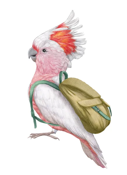 Ilustração Desenhada Mão Cacatua Com Uma Mochila Papagaio Rosa — Fotografia de Stock