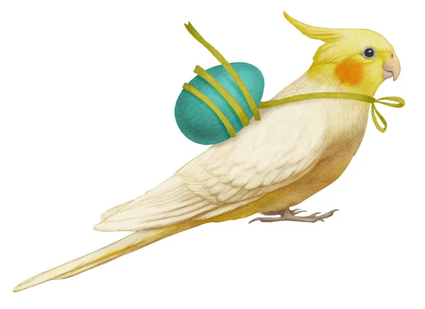 Hand Drawn Illustration Cockatiel Yellow Parrot Easter — Stock Photo, Image