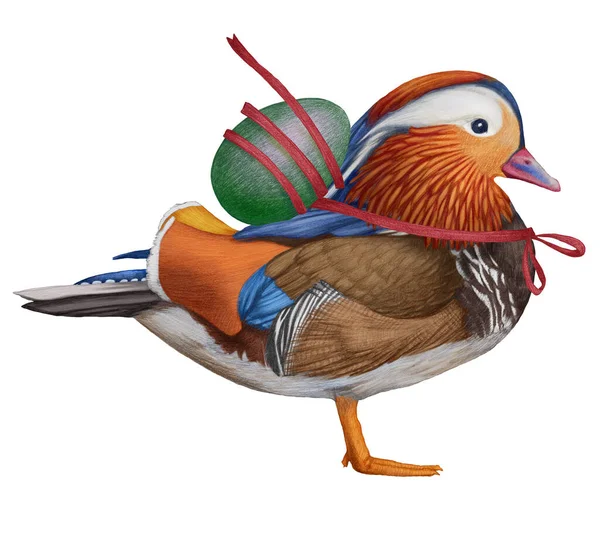 Ręcznie Rysowana Ilustracja Mandarin Duck Kolorowy Ptak Pascha — Zdjęcie stockowe