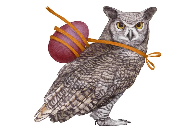 Ręcznie Rysowana Ilustracja Sowy Dziki Ptak Pascha — Zdjęcie stockowe
