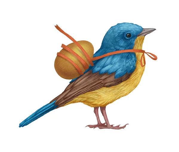 Hand Drawn Illustration Blue Flycatcher Small Bird Easter — Stock Photo, Image