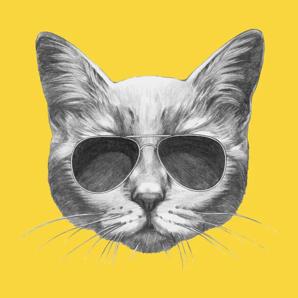 Retrato de Gato con gafas de sol — Vector de stock