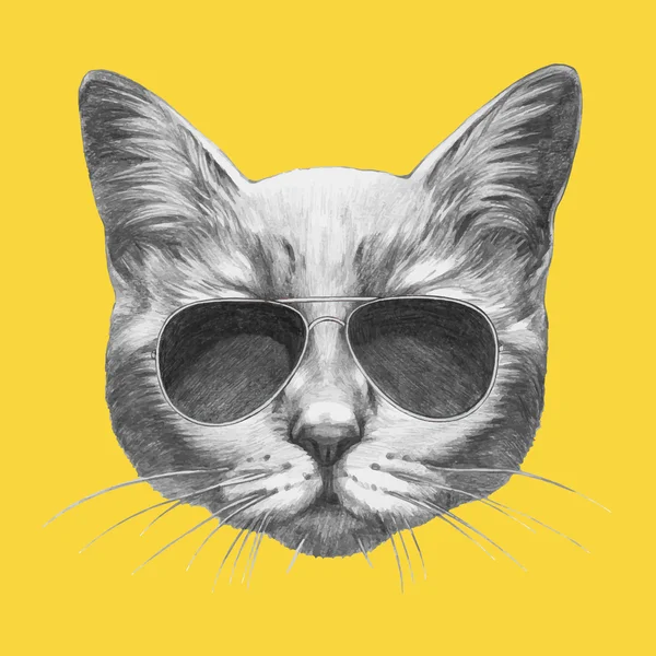 Retrato de Gato con gafas de sol — Archivo Imágenes Vectoriales