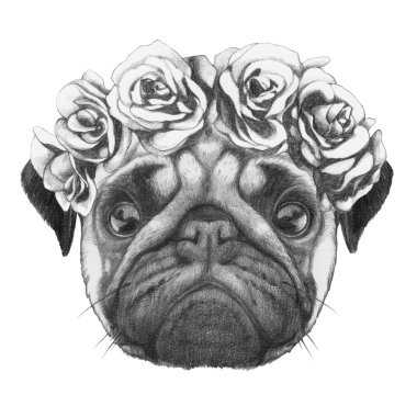 Çiçek baş çelenk ile pug köpek