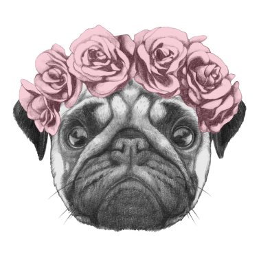 Çiçek baş çelenk ile pug köpek