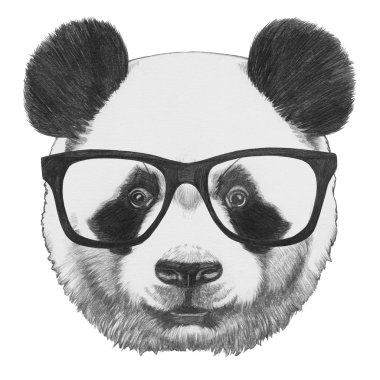 Panda özgün çizim gözlüklü